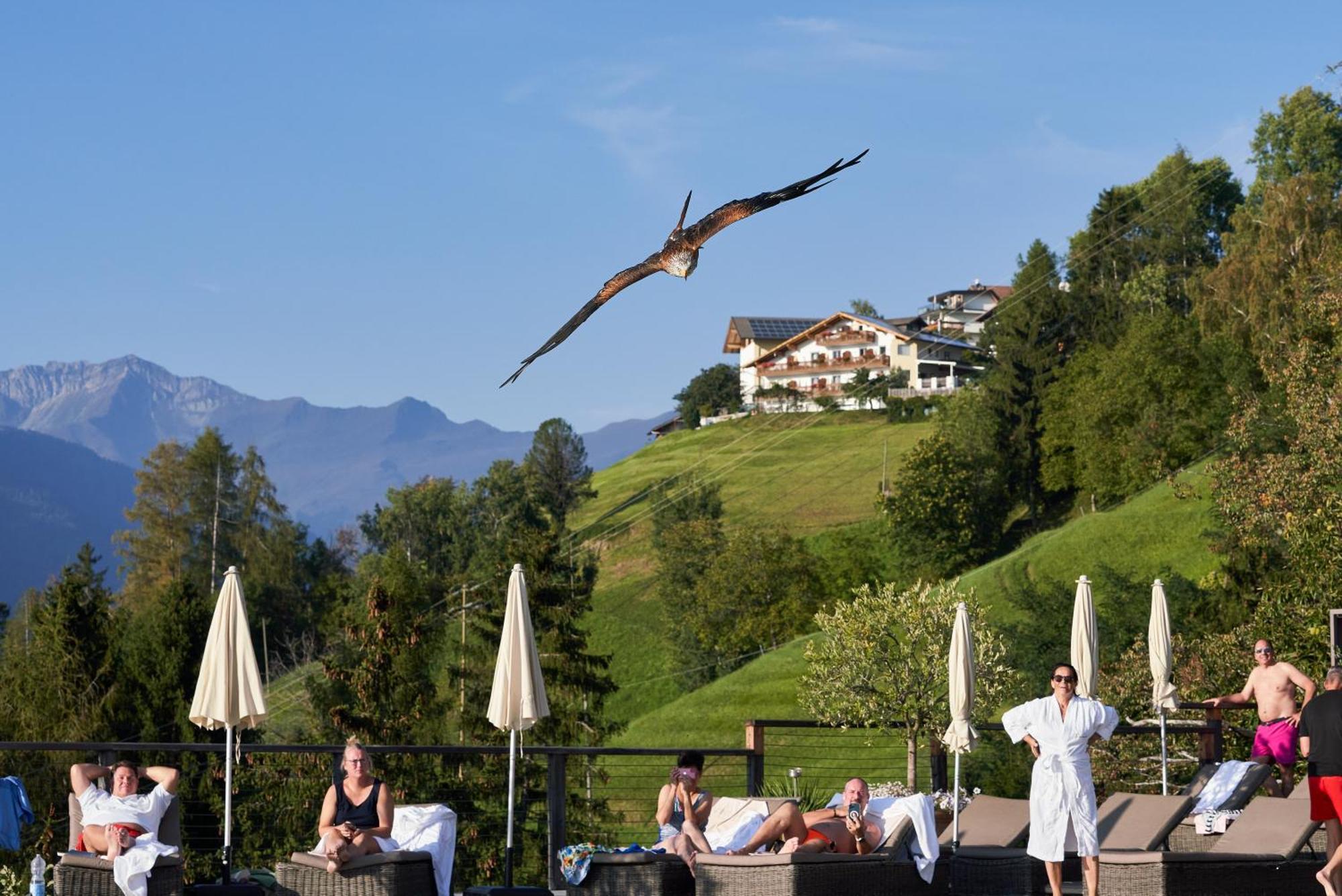 Hotel Panorama Scena Esterno foto